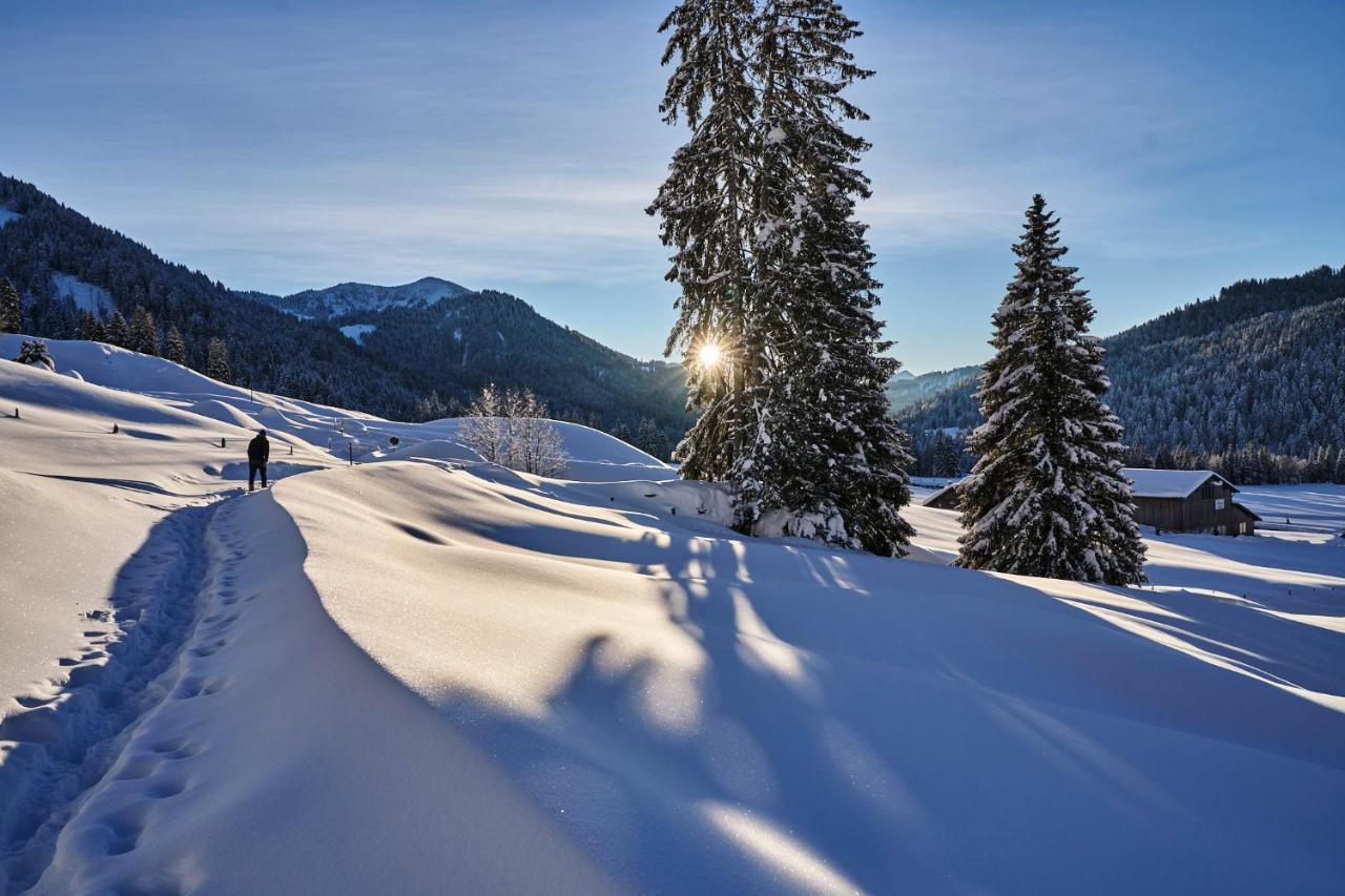 Hubertus Mountain Refugio Allgaeu バルダーシュヴァング エクステリア 写真