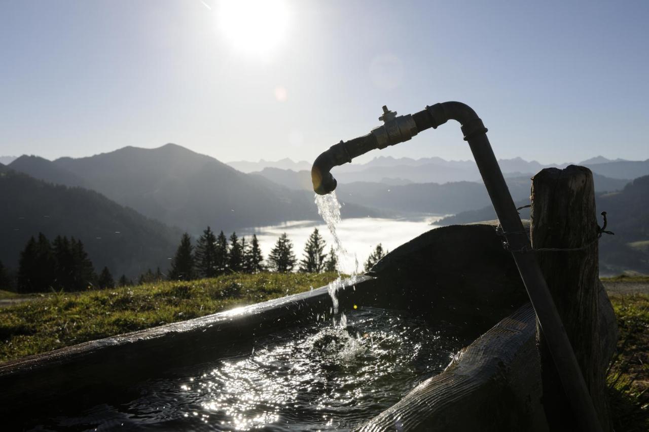 Hubertus Mountain Refugio Allgaeu バルダーシュヴァング エクステリア 写真